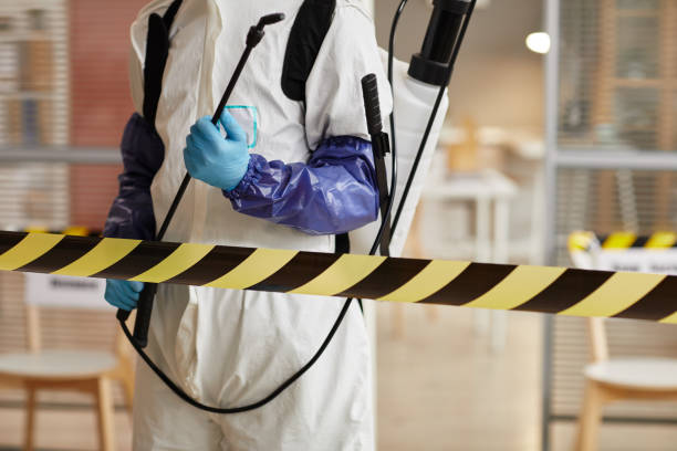 Professional Infectious Disease Decontamination technician working in Pine, CO